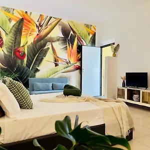  Appartamento Casa Anima